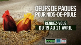 nids-de-poule 2025